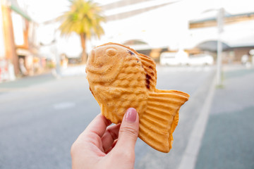 Japan snack, fish snack