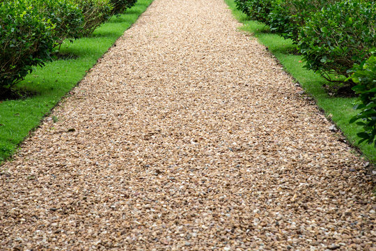 Stone path way with plant