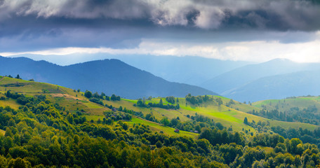 Beautiful picturesque summer landscape in the Carpathian mountains, Borzhava ridge, in the Transcarpathian region, Ukraine.