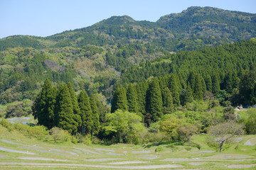 棚田　日本の伝統風景