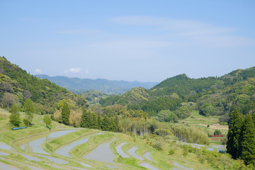 棚田　日本の伝統風景