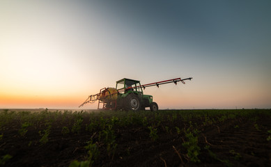 Fototapeta premium Tractor spraying pesticides at soy bean field
