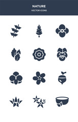 12 nature vector icons such as natural medical pills, neroli, nymphea, oak, oleander contains orchid, pansy, peony, peppermint, petunia, pine icons