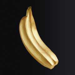 Creative fruits concept