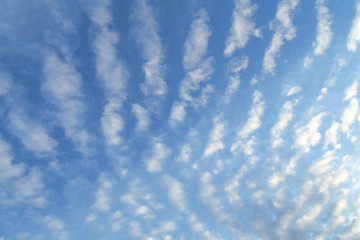 white clouds and blue sky. beautiful altocumulus undulatus clouds with blue sky. nature background.
