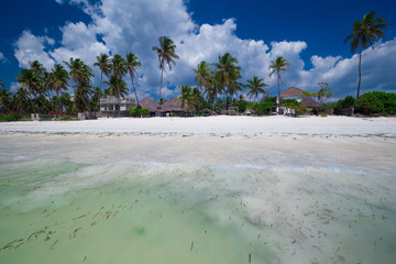 Zanzibar, landscape sea, white sand
