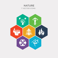 simple set of indoor, death, burning flames, spruce icons, contains such as icons stump house, amanita, season and more. 64x64 pixel perfect. infographics vector