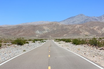 Mojave Desert road