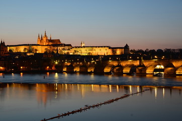 Charles Bridge in Prague with seagulls at night