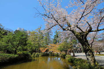 Fototapeta na wymiar Japanese traditional garden Oyama shrine Kanazawa Japan