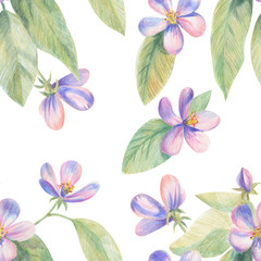 Flowers of apple Sakura drawing with colored pencils. Template for greeting card. Wedding card