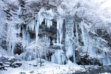 三十槌の氷柱
