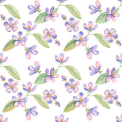 Flowers of apple Sakura drawing with colored pencils. Template for greeting card. Wedding card