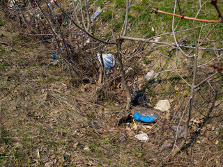 Plastic pollution concept. Garbage in forest in spring
