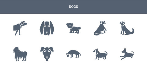 10 dogs vector icons such as basenji dog, basset hound dog, beagle dog, beauceron bergamasco contains berger picard bernese mountain bichon frise bloodhound boerboel dogs icons