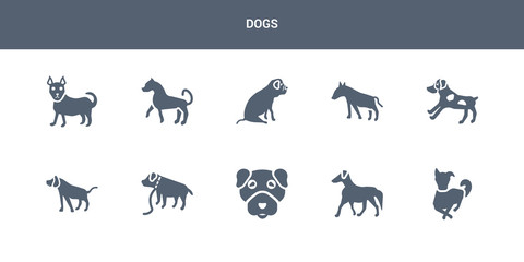 10 dogs vector icons such as border collie dog, borzoi dog, boston terrier dog, boxer bracco italiano contains brittany bull terrier bulldog, cane corso chihuahua dogs icons