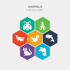 simple set of zander, baboon, dolphin jumping, squirrel icons, contains such as icons lemur, squid, ladybug and more. 64x64 pixel perfect. infographics vector