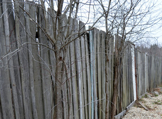 wooden fence around the house in the spring in the forest