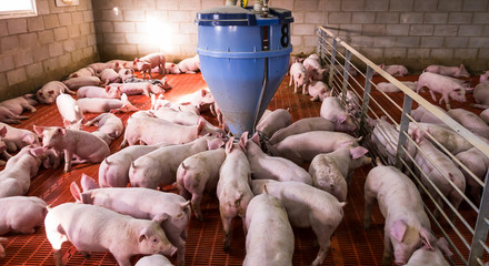 agronegócio © Art by Pixel