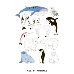 Arctic Animale vector set. Polar Bear Walrus Penguin Narwal Seal Reindeer Killer Whale Arctic Fox Owl doodle linear drawing. Noth Polar creature collection in Scandinavian style. © AngellozOlga