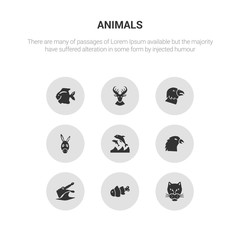9 round vector icons such as cheetah, clown fish, crocodile, crow, dolphin contains donkey, eagle, elk, fish. cheetah, clown fish, icon3_, gray animals icons