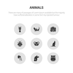 9 round vector icons such as hippopotamus, horse, jellyfish, kangaroo, koala contains ladybug, lion, lizard, llama. hippopotamus, horse, icon3_, gray animals icons
