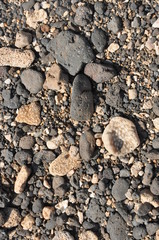 Stones and Shells