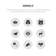 9 round vector icons such as elephant, alpaca, anteater, antelope, badger contains bat, bear, beaver, bee. elephant, alpaca, icon3_, gray animals icons