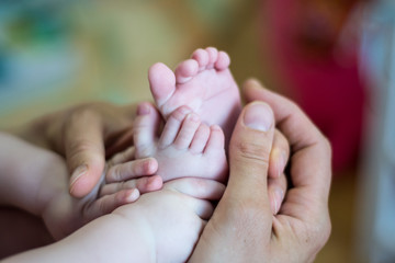 baby feet in hands
