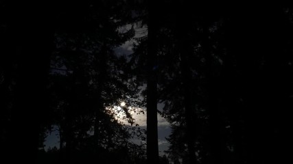 Time lapse of sun rising through the trees, Partly cloudy, sun looks like a starburst - Powered by Adobe