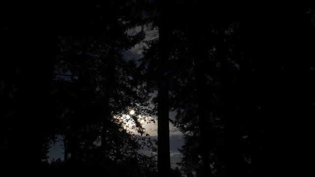 Time lapse of sun rising through the trees, Partly cloudy, sun looks like a starburst