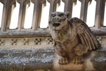 Gargoyle Bird