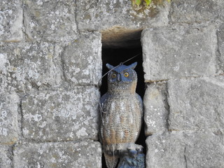 Carcassonne Frankreich