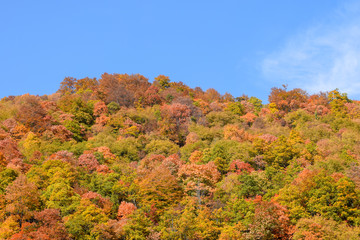 View over the surroundings hills and mountains during autumn, Macedonia