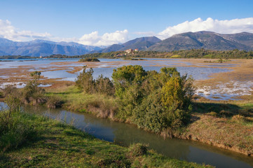Wetland landscape on a sunny spring day. Montenegro. View of special botanical and animal reserve Tivat Salina  ( Tivatska Solila )