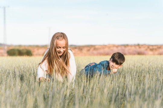 Mohnkrone Bilder Durchsuchen 1,308 Archivfotos, und