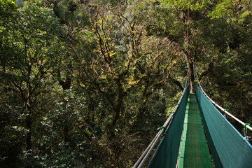 Suspension bridge on the Hanging Bridges Trail near Heliconias Rainforest Lodge in Bijagua in Costa Rica
