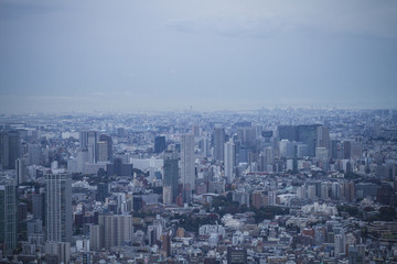 Fototapeta na wymiar Skyline View in Tokyo #1