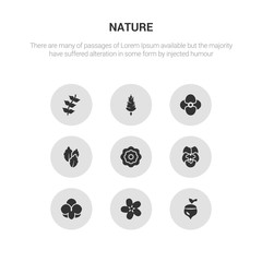 9 round vector icons such as oak, oleander, orchid, pansy, peony contains peppermint, petunia, pine, pinnate. oak, oleander, icon3_, gray nature icons