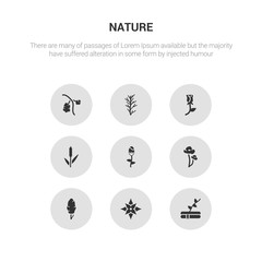 9 round vector icons such as plant growing on book, poinsettia, poplar, poppy, protea contains reed, rose, rosemary, rowan. plant growing on book, poinsettia, icon3_, gray nature icons