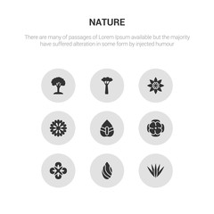 Fototapeta premium 9 round vector icons such as acicular, almond, alstroemeria, anemone, anthurium contains aster, astrantia, baobab, beech. acicular, almond, icon3_, gray nature icons