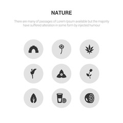 9 round vector icons such as bergamot, lemon and juice drop out, birch, bell, bougainvillea contains calla, cannabis, carnation, cave. bergamot, lemon and juice drop out, icon3_, gray nature icons