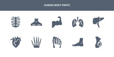 10 human body parts vector icons such as human fetus, human foot, footprints, hand bones, heart contains liver, lungs, muscle, neck, ribs. body parts icons