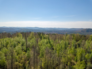Obraz premium Pfalz bei Dahn im Frühling