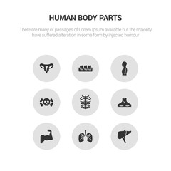 9 round vector icons such as human liver, human lungs, human muscle, neck, ribs contains skull with crossed bones, spine, teeth, uterus. liver, lungs, icon3_, gray body parts icons