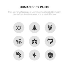 9 round vector icons such as human with focus on the lungs, immune system, kneecap, large intestine, lungs with the trachea contains male and female gender, male head side view with brains, male
