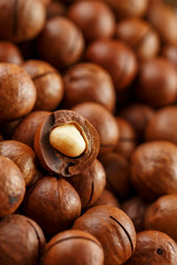 Texture of organic macadamia nut fresh natural fruit shelled one nut in full frame close-up view