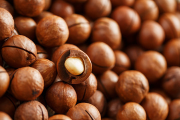 Texture of organic macadamia nut fresh natural fruit shelled one nut in full frame close-up view