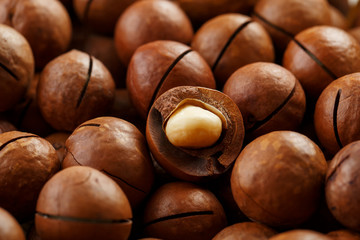 Texture of organic macadamia nut fresh natural fruit shelled one nut in full frame close-up view