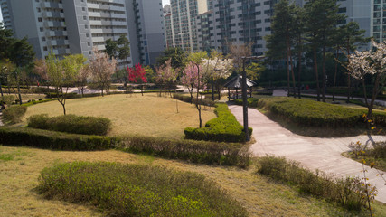 Naklejka premium 뒷동네 공원
